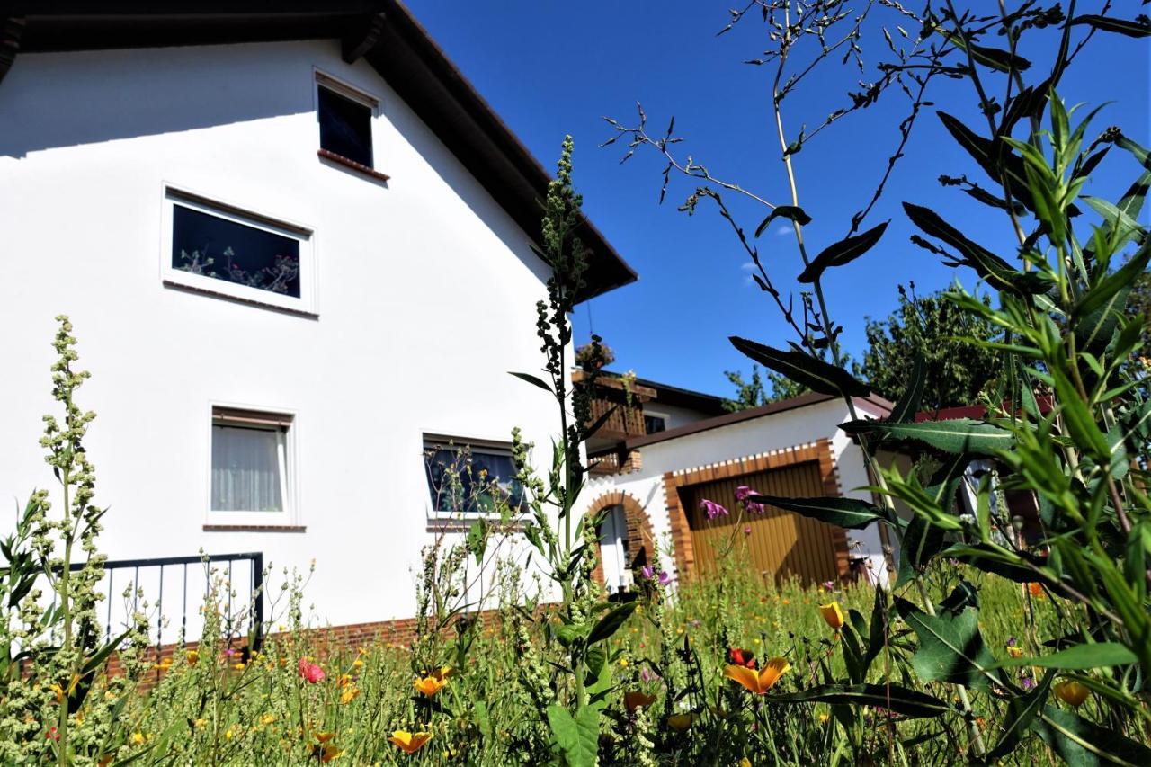 Ferienwohnung-M8 Im Schoenen Werratal Jestadt Kültér fotó